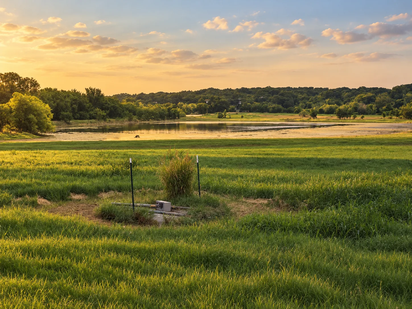 Open North Texas acreage with tall grass and a stock pond at golden hour